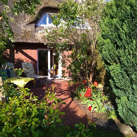 Amelie * זינקסט